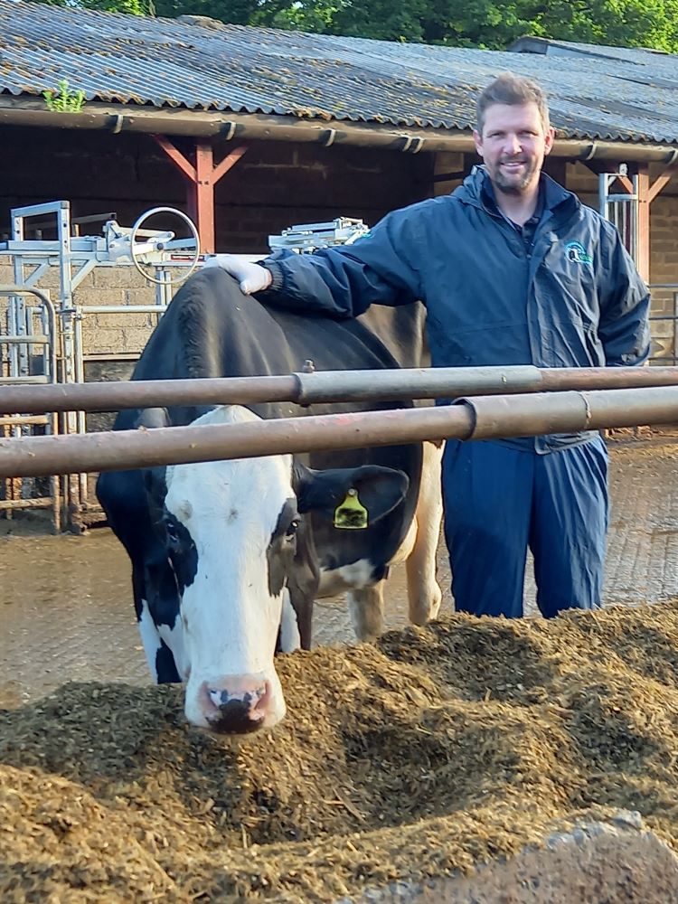 Vet Tom Clarke, Synergy Farm Health, with a cow